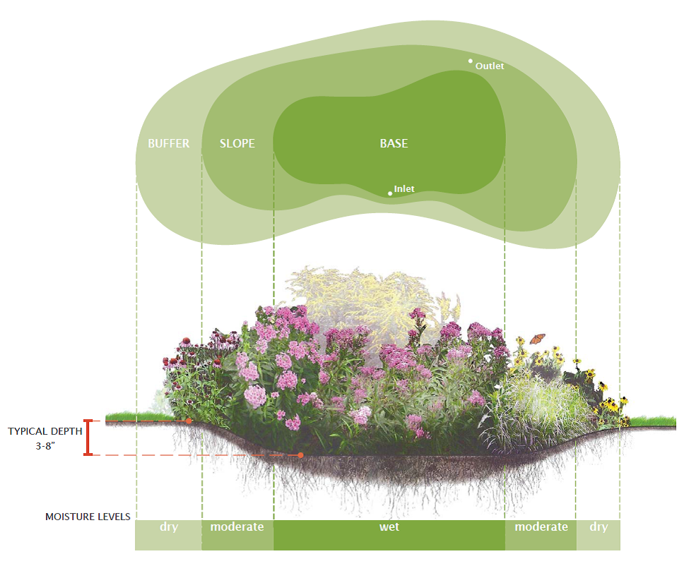 Rain-Garden-Diagram