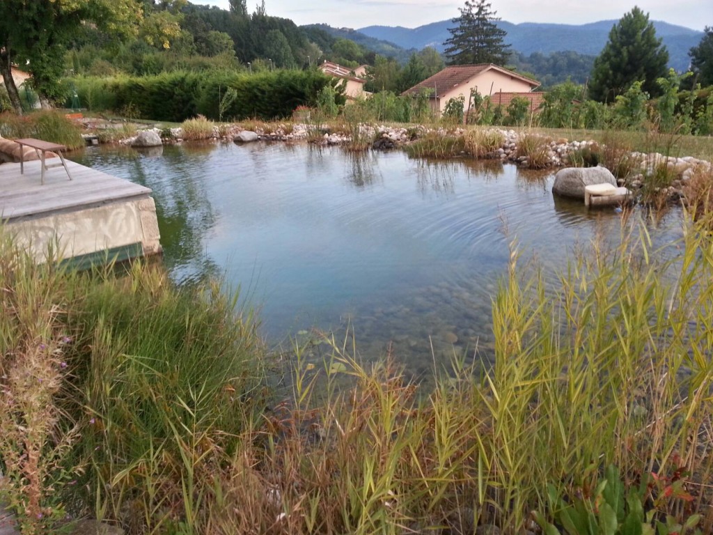 1271941_10153256228445651_311138428_o